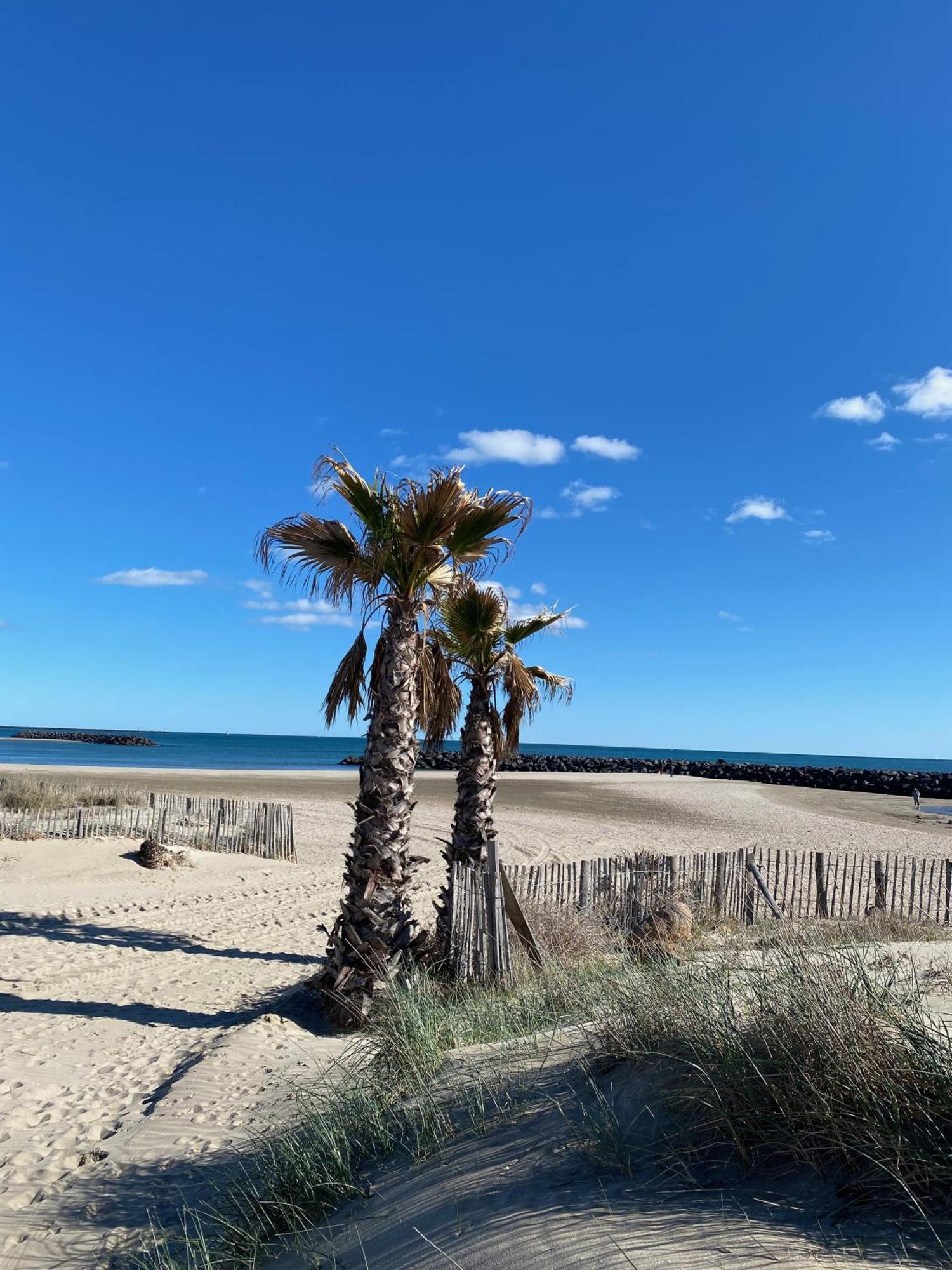 Appart - T3 - 6 Personnes – Golf Cap D’Agde Eksteriør billede
